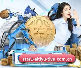 五大服务分区,信息按项目分类
