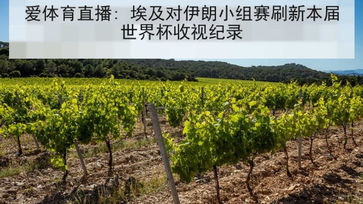 爱体育直播: 埃及对伊朗小组赛刷新本届世界杯收视纪录 爱体育直播: 埃及对伊朗小组赛刷新本届世界杯收视纪录