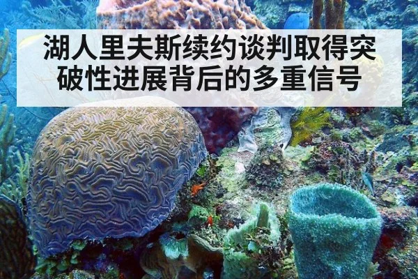 湖人里夫斯续约谈判取得突破性进展背后的多重信号